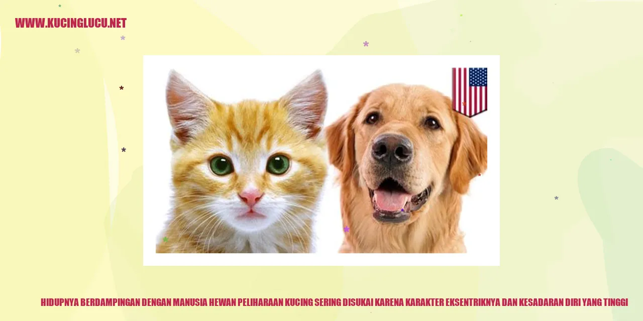 Kucing sebagai Hewan Peliharaan