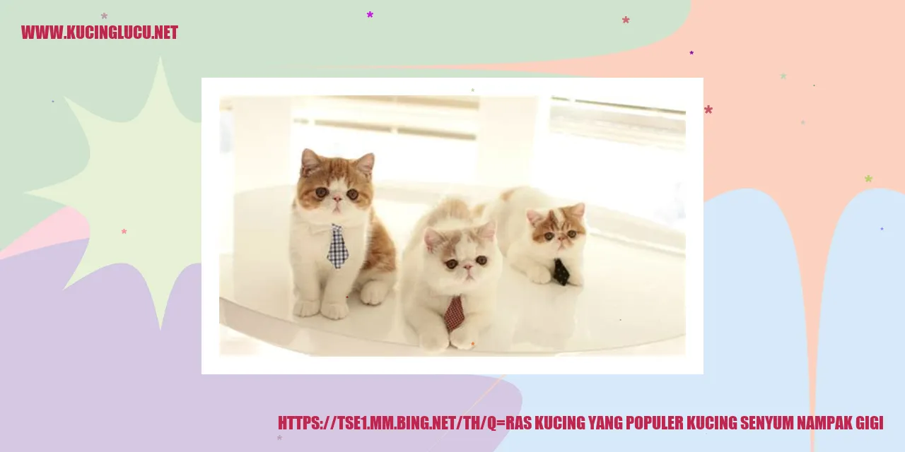 Kucing Senyum