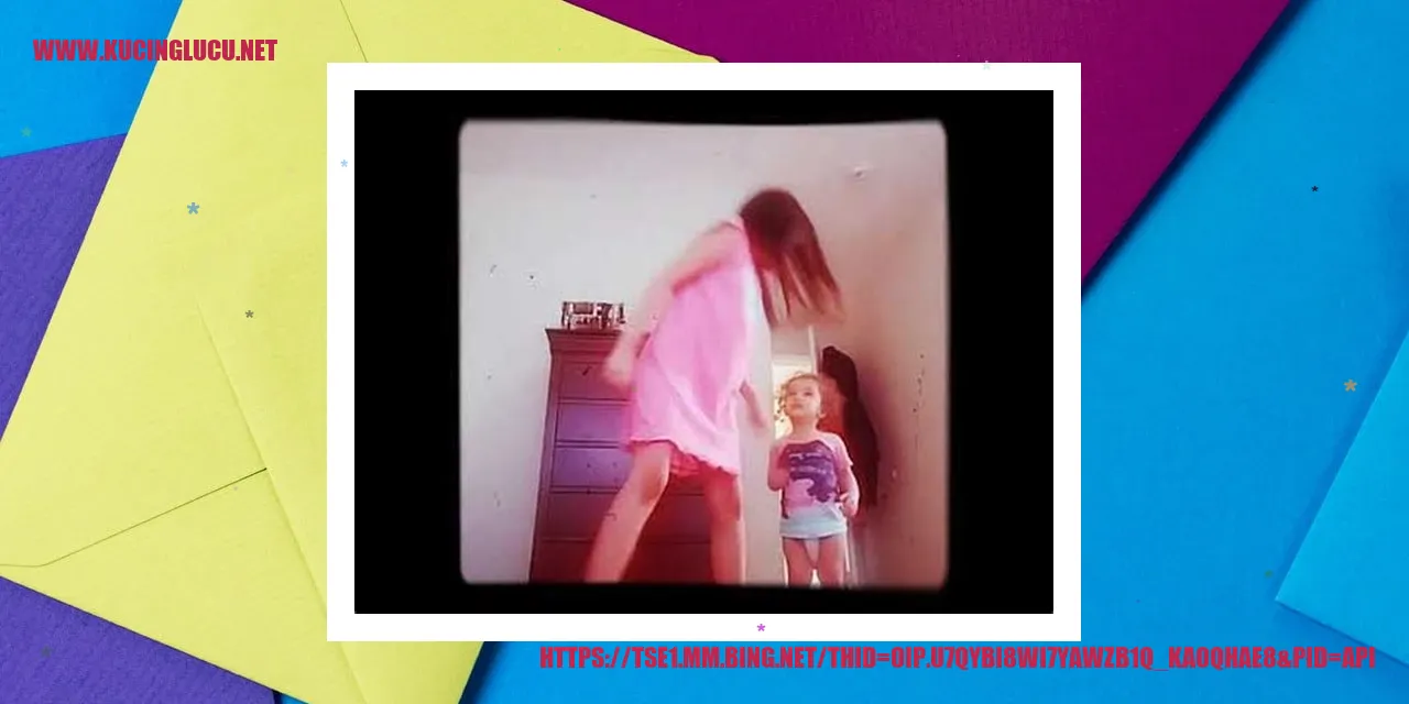 Foto Kucing dengan Kateter Kucing