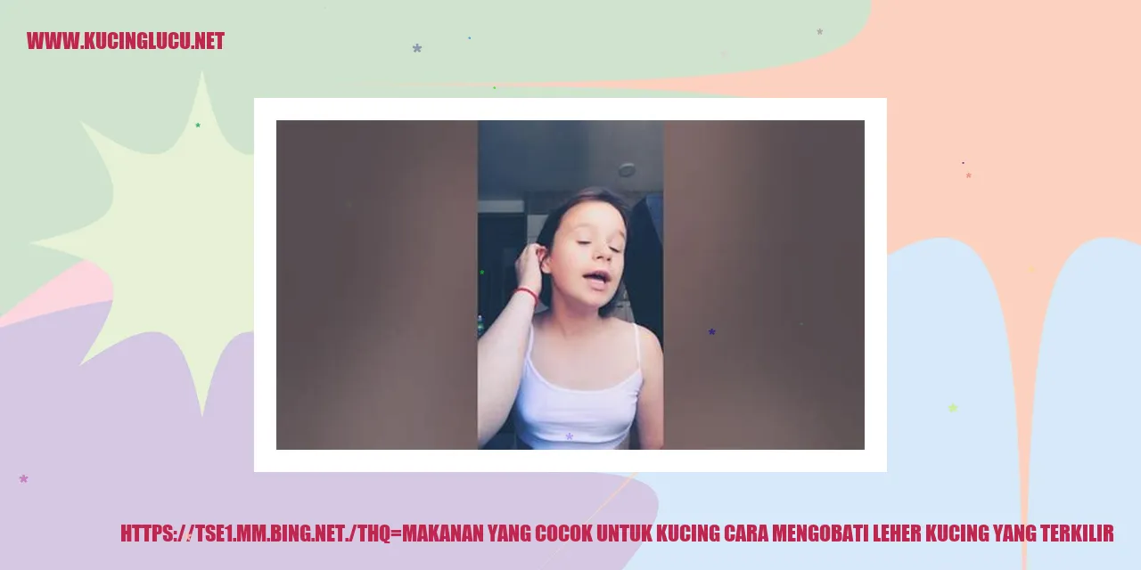 Gambar makanan kucing yang cocok