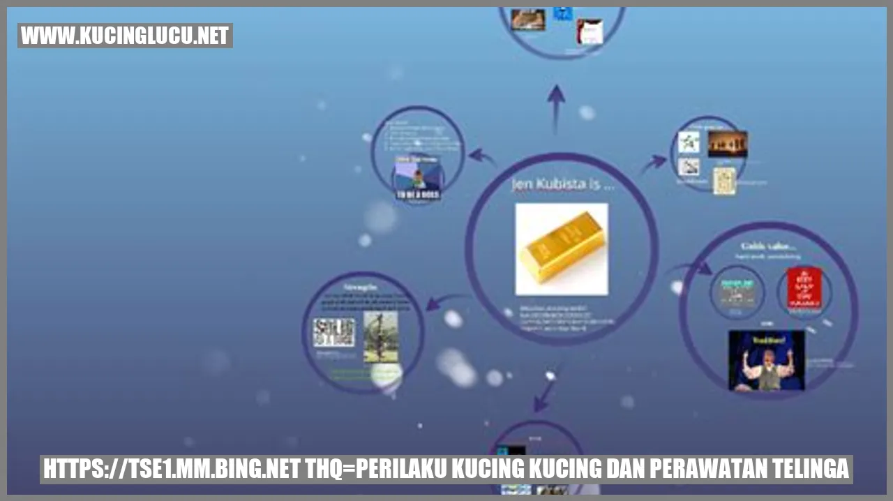 Gambar Kucing