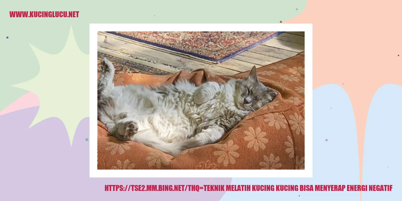 Foto Menggemaskan Kucing
