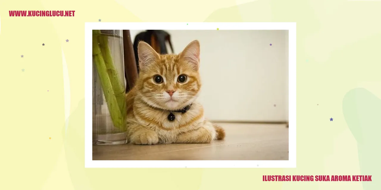Kucing suka cium aroma ketiak