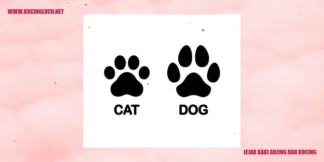 gambar jejak kaki anjing dan kucing