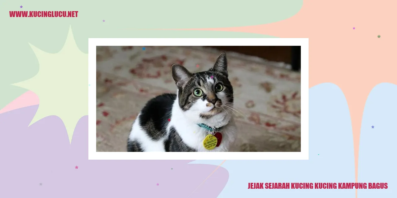 Jejak Sejarah Kucing Lokal