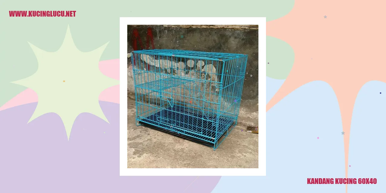 Pertanyaan yang Sering Ditanyakan Mengenai Kandang Kucing 60x40
