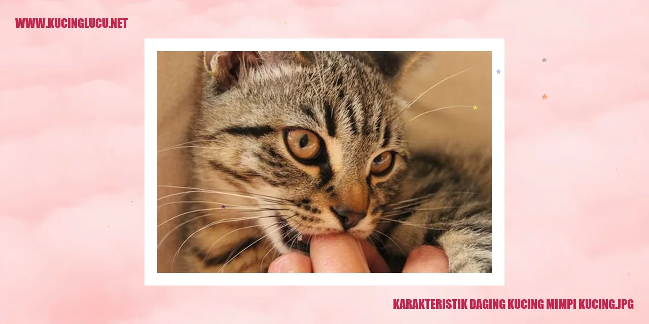 Karakteristik Fisik Kucing saat Bermimpi Makan Daging Kucing