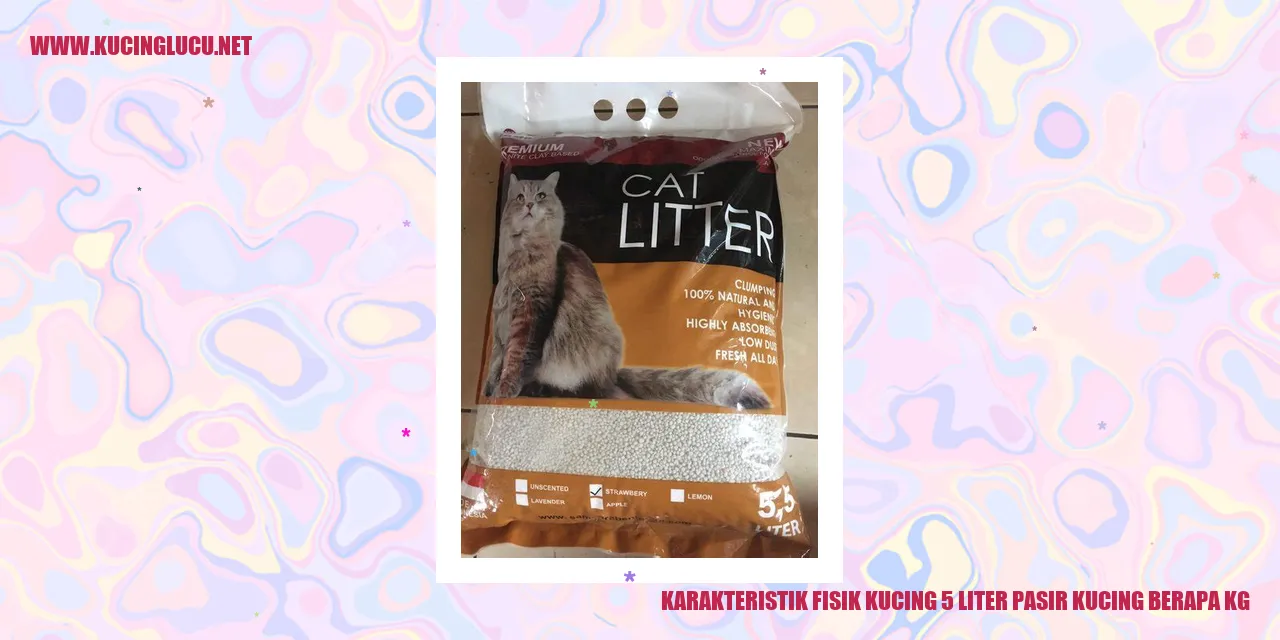 kucing yang menggemaskan