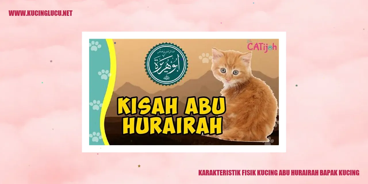 Karakteristik Fisik Kucing Abu Hurairah