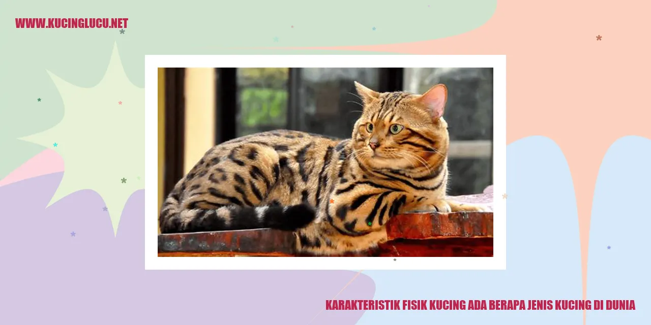 Karakteristik Fisik Kucing