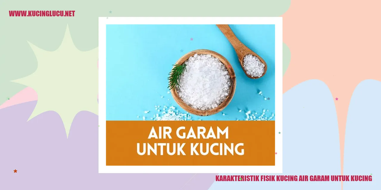 Karakteristik Fisik Kucing air garam untuk kucing