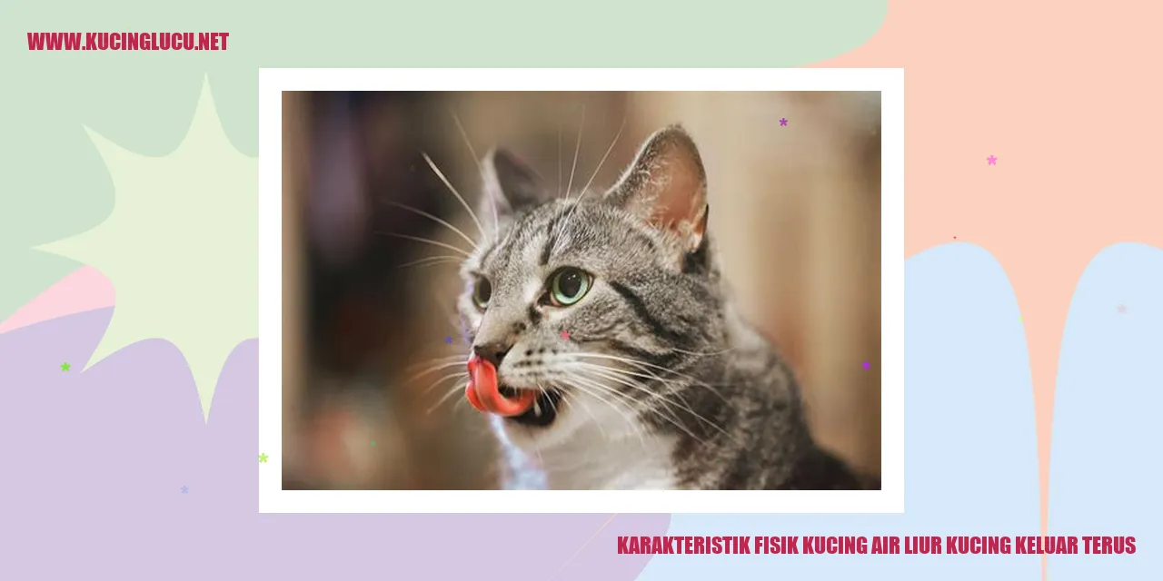 Karakteristik Fisik Kucing
