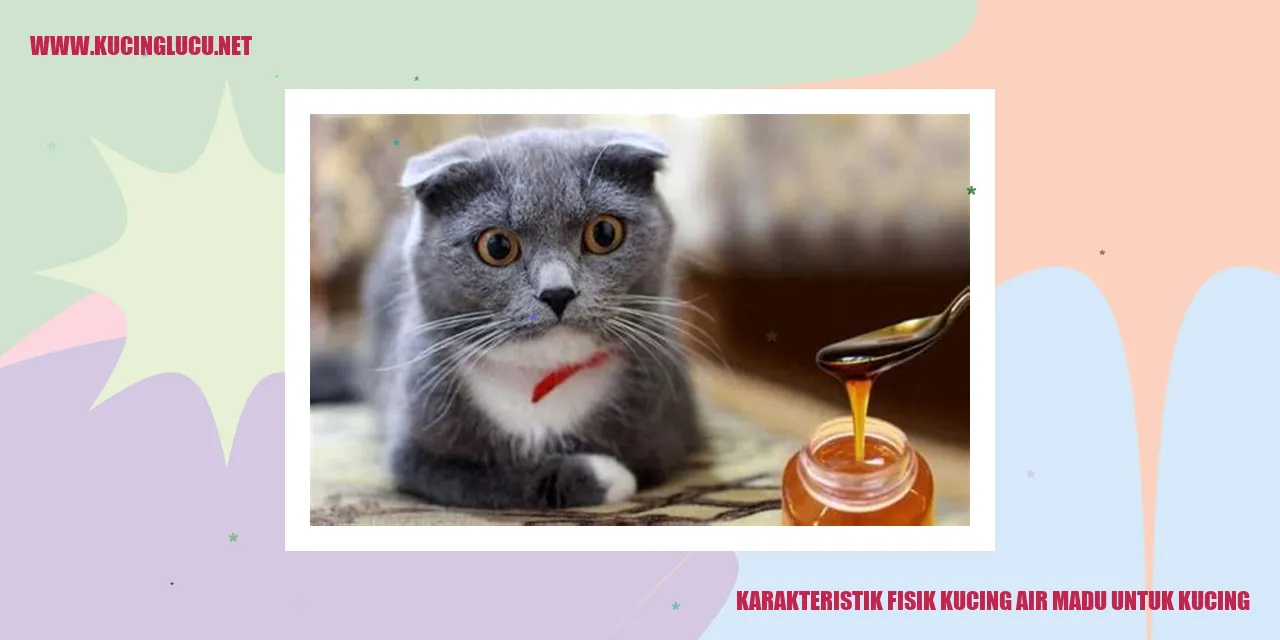 Gambar Kucing air madu