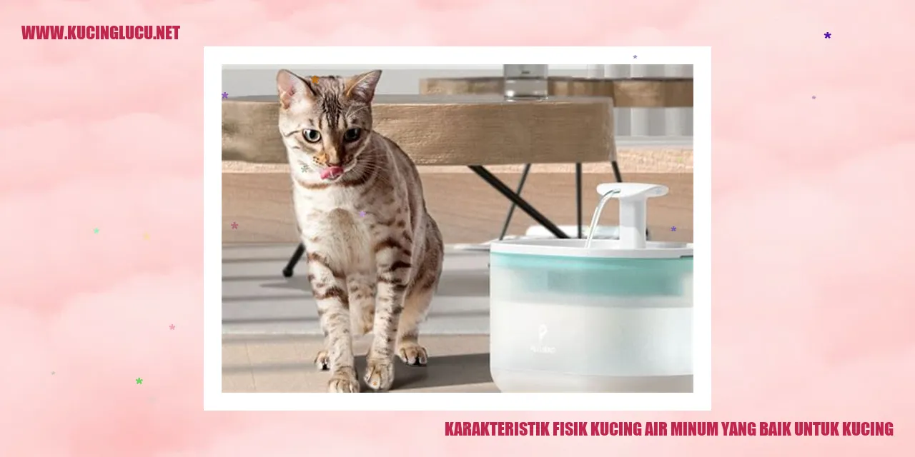 Karakteristik Fisik Kucing air minum yang baik untuk kucing