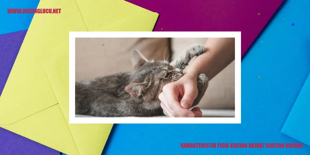 Karakteristik Fisik Kucing akibat gigitan kucing