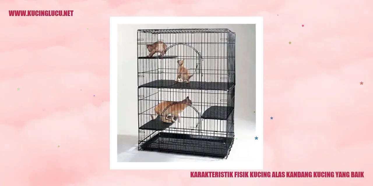 Karakteristik Fisik Kucing