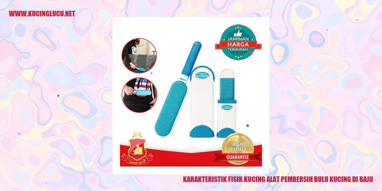 Karakteristik Fisik Kucing alat pembersih bulu kucing di baju