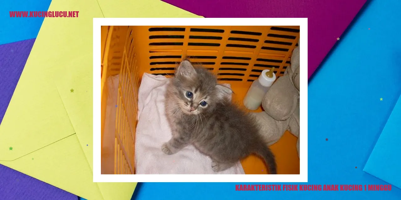 Karakteristik Fisik Kucing Anak Kucing 1 Minggu