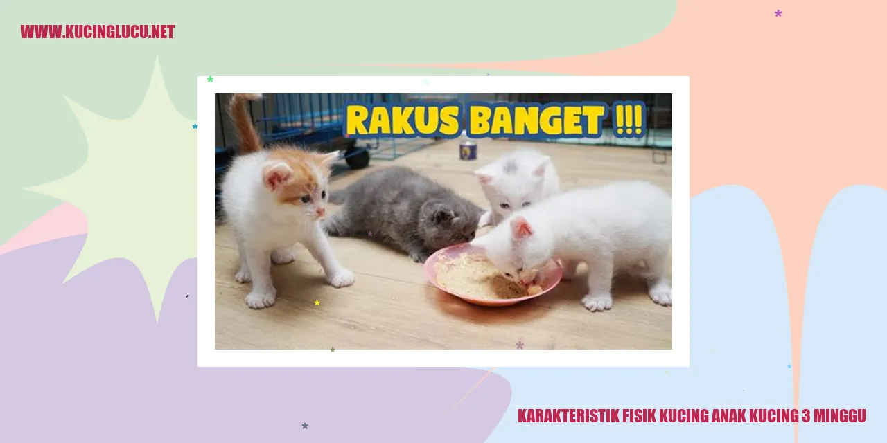 Karakteristik Fisik Kucing Anak Kucing Umur 3 Minggu