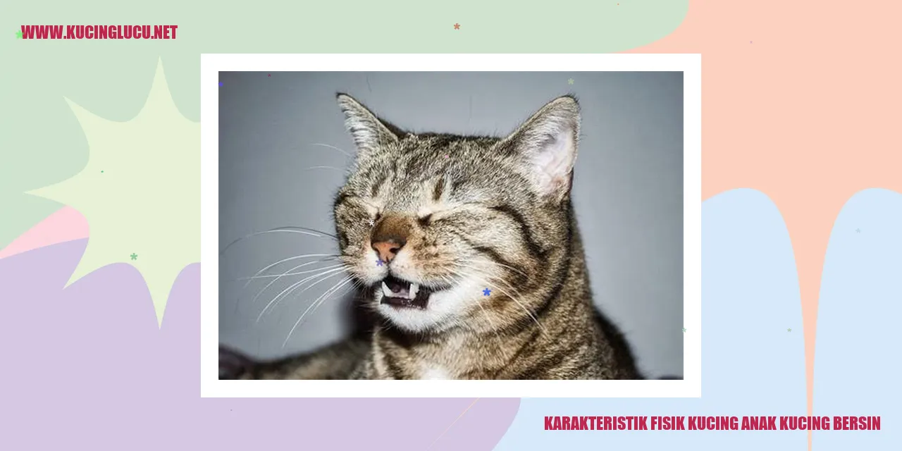 Karakteristik Fisik Kucing Anak Kucing Bersin