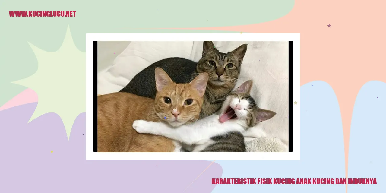 Karakteristik Fisik Kucing anak kucing dan induknya