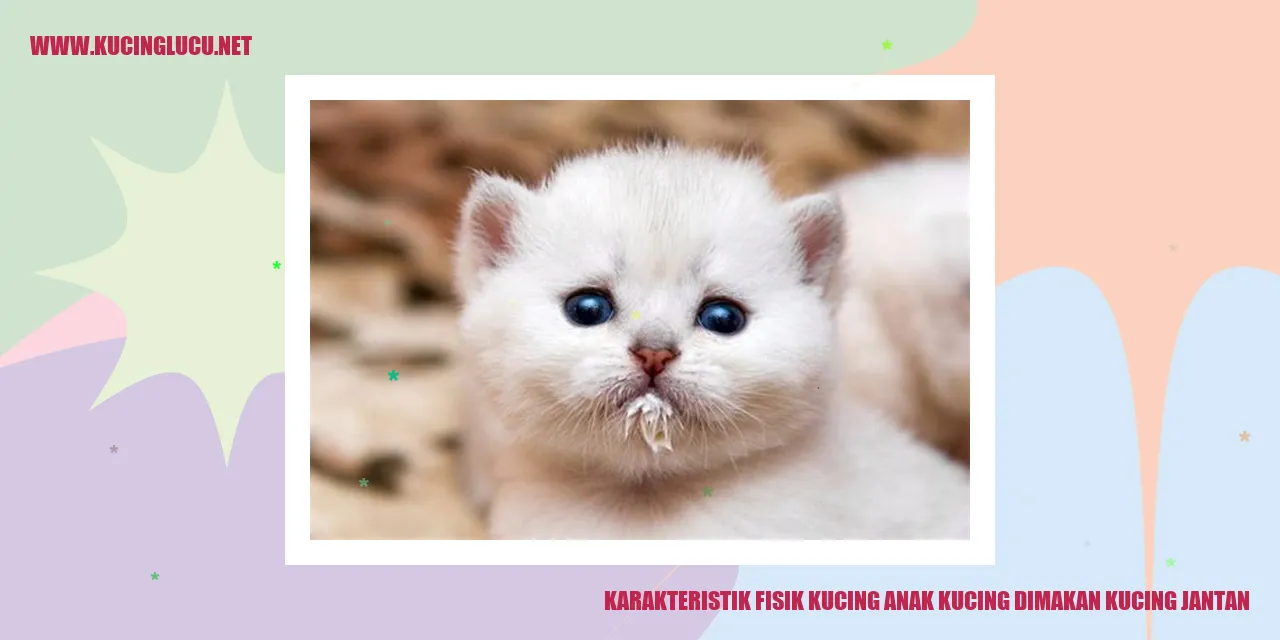 Karakteristik Fisik Kucing