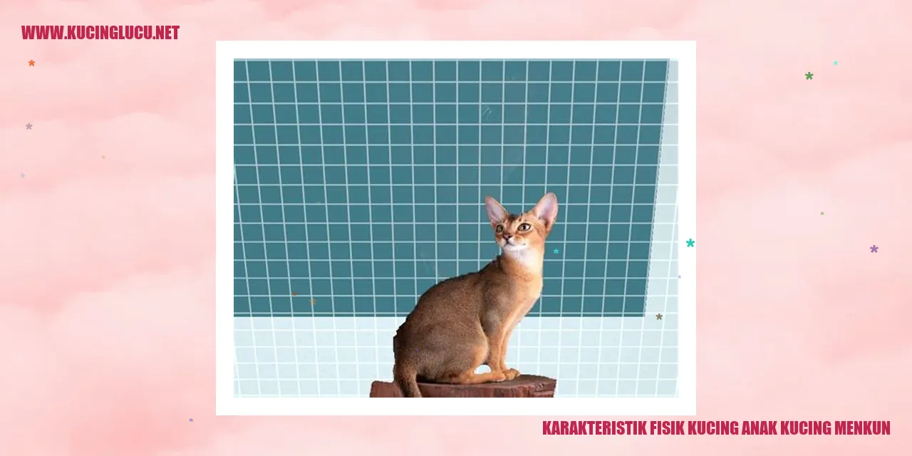 gambarkan pesona anak kucing menkun