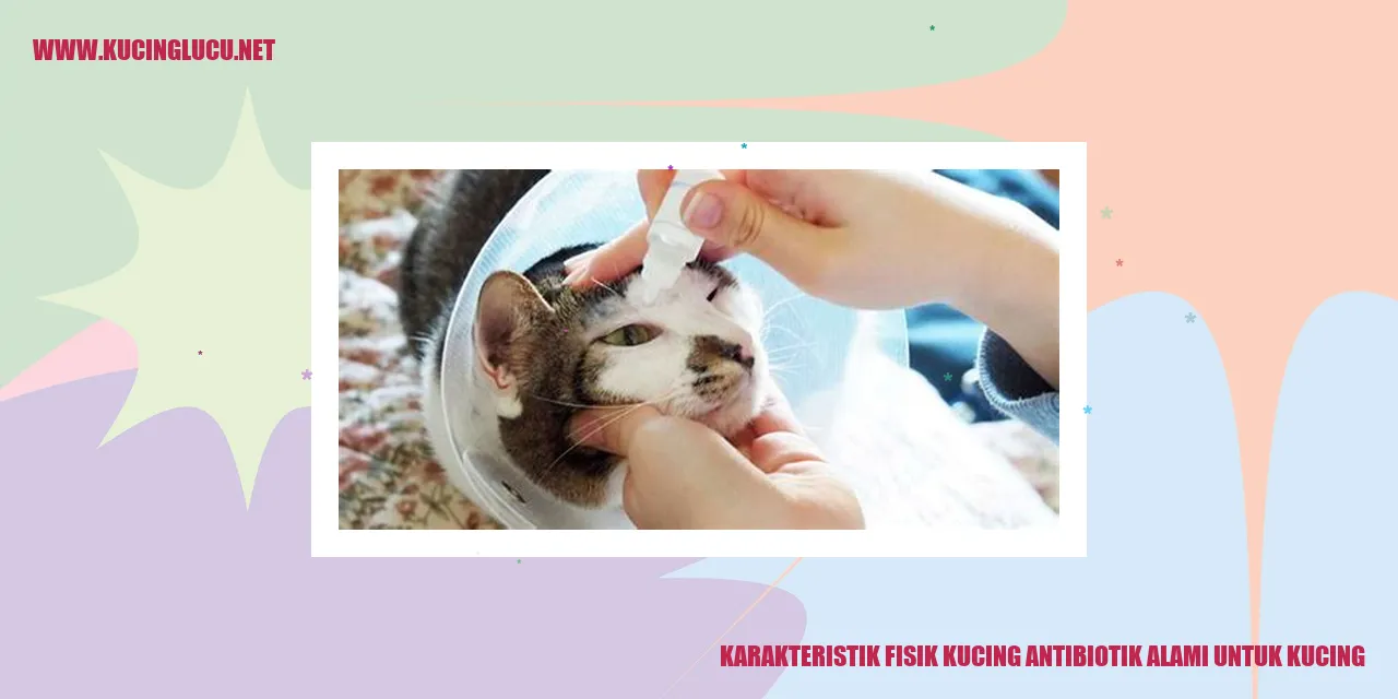 Karakteristik Fisik Kucing antibiotik alami untuk kucing
