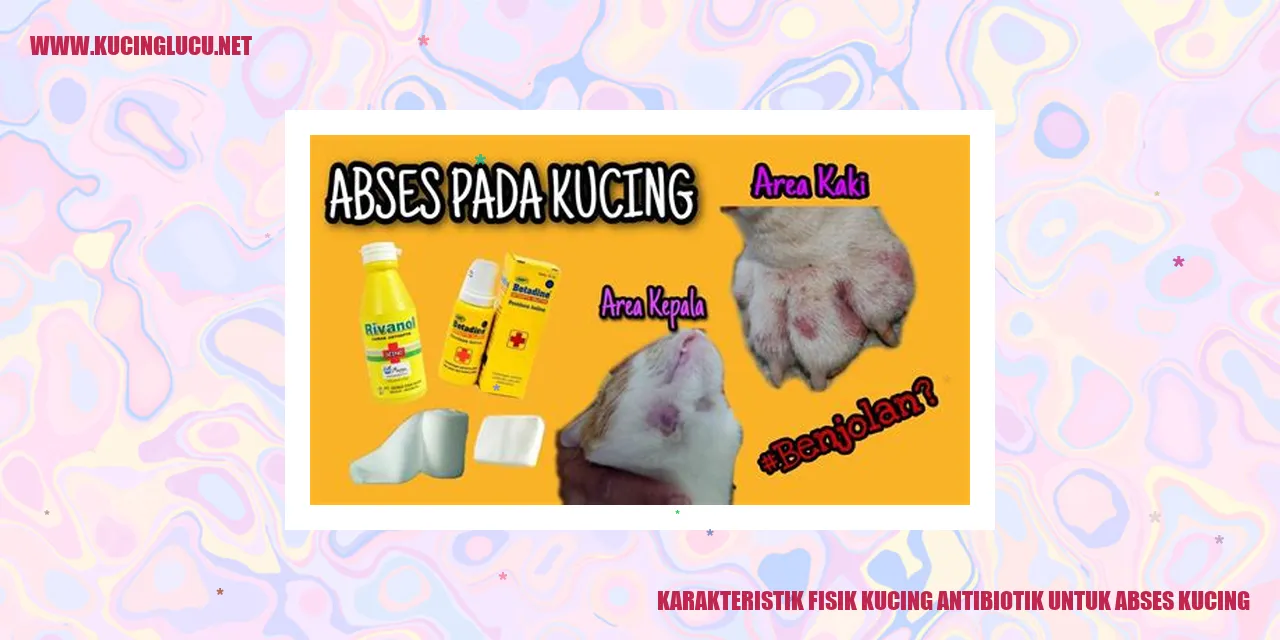 Karakteristik Fisik Kucing antibiotik untuk abses kucing