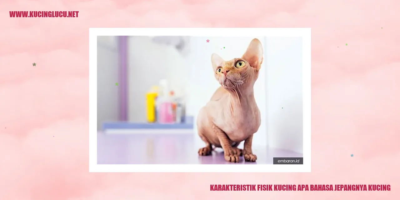 karakteristik fisik kucing
