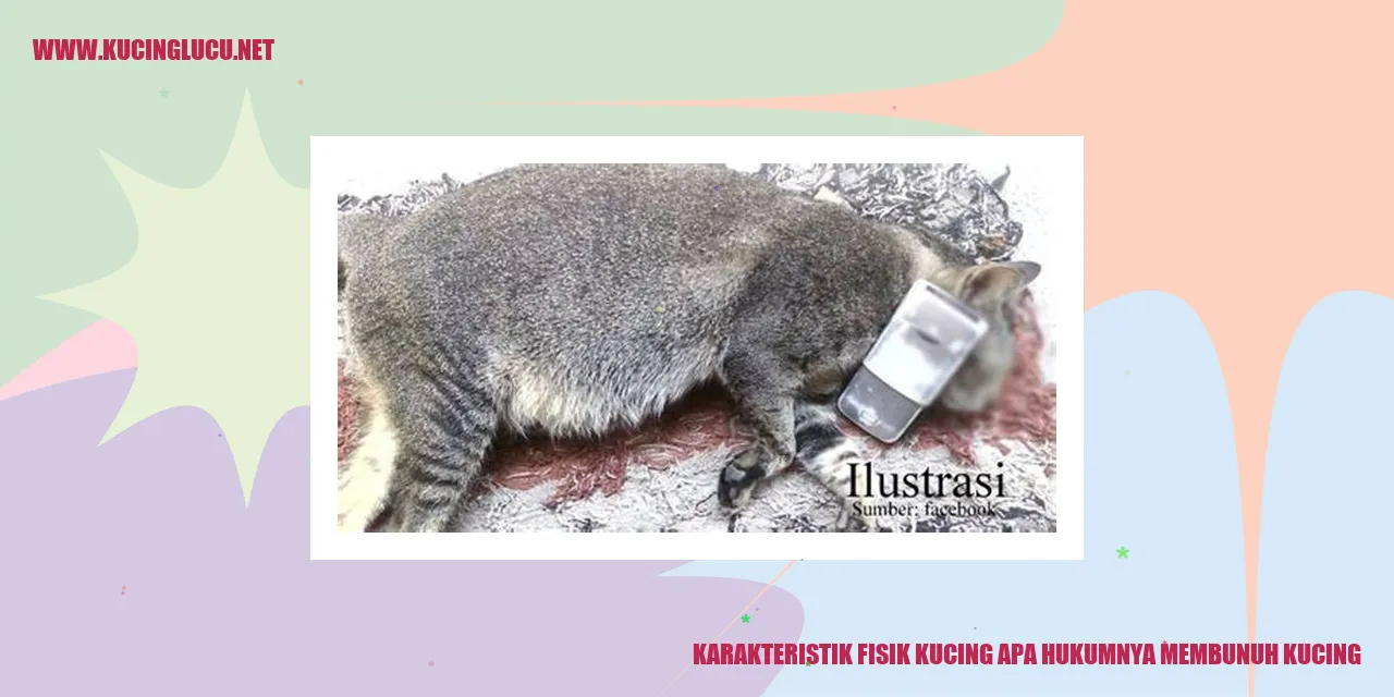 Karakteristik Fisik Kucing