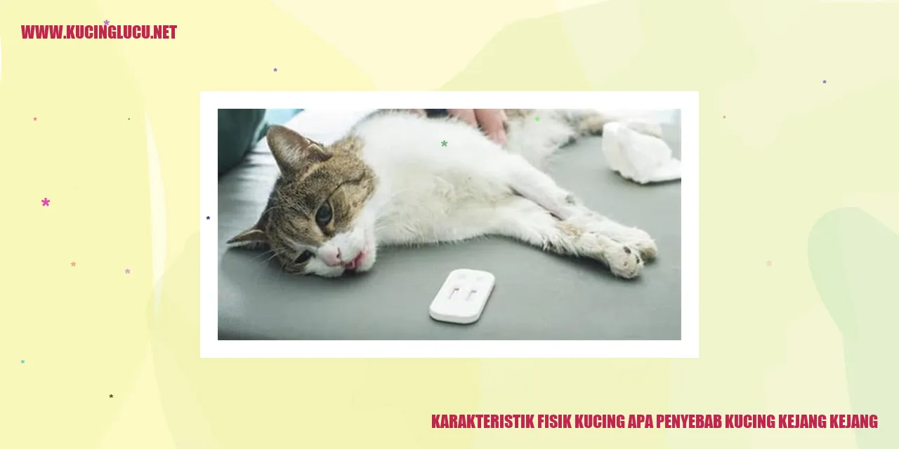 Karakteristik Fisik Kucing
