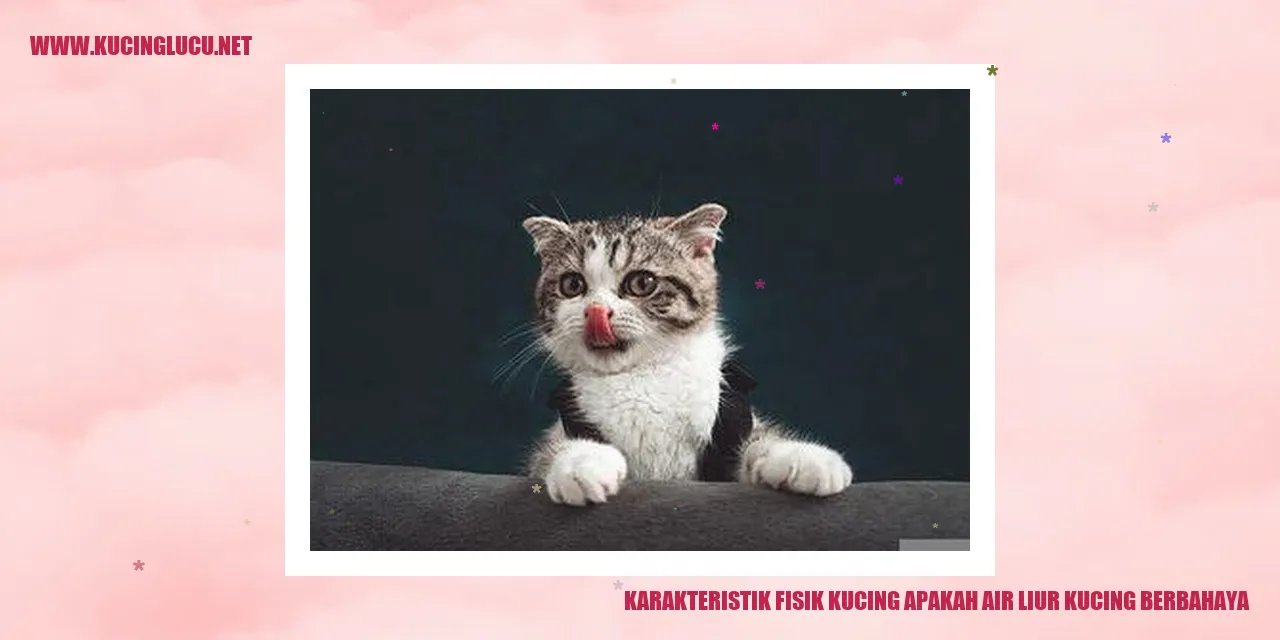 Gambar menggemaskan kucing