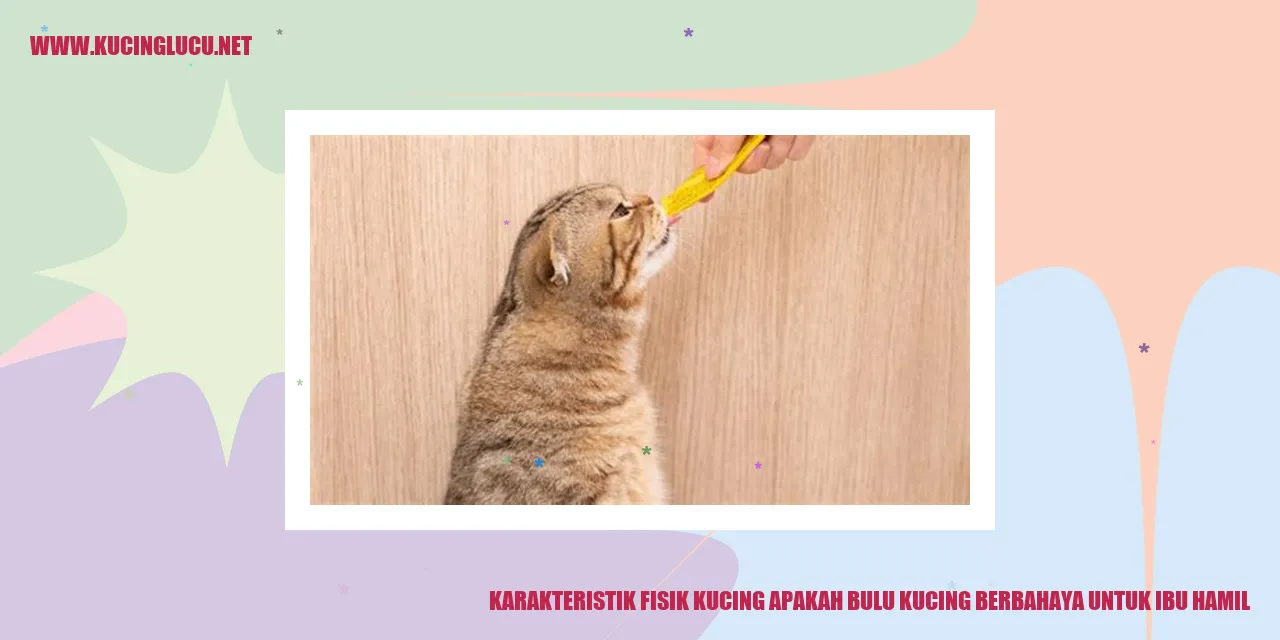 Karakteristik Fisik Kucing