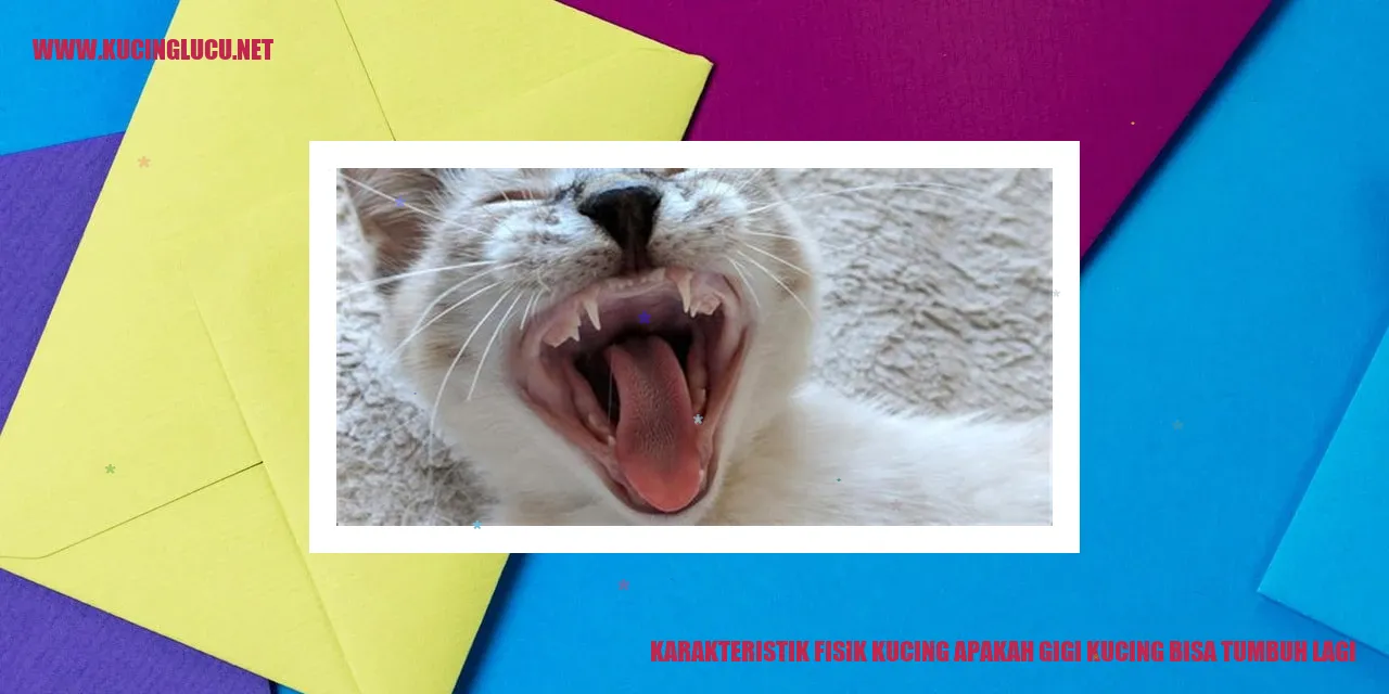Karakteristik Fisik Kucing