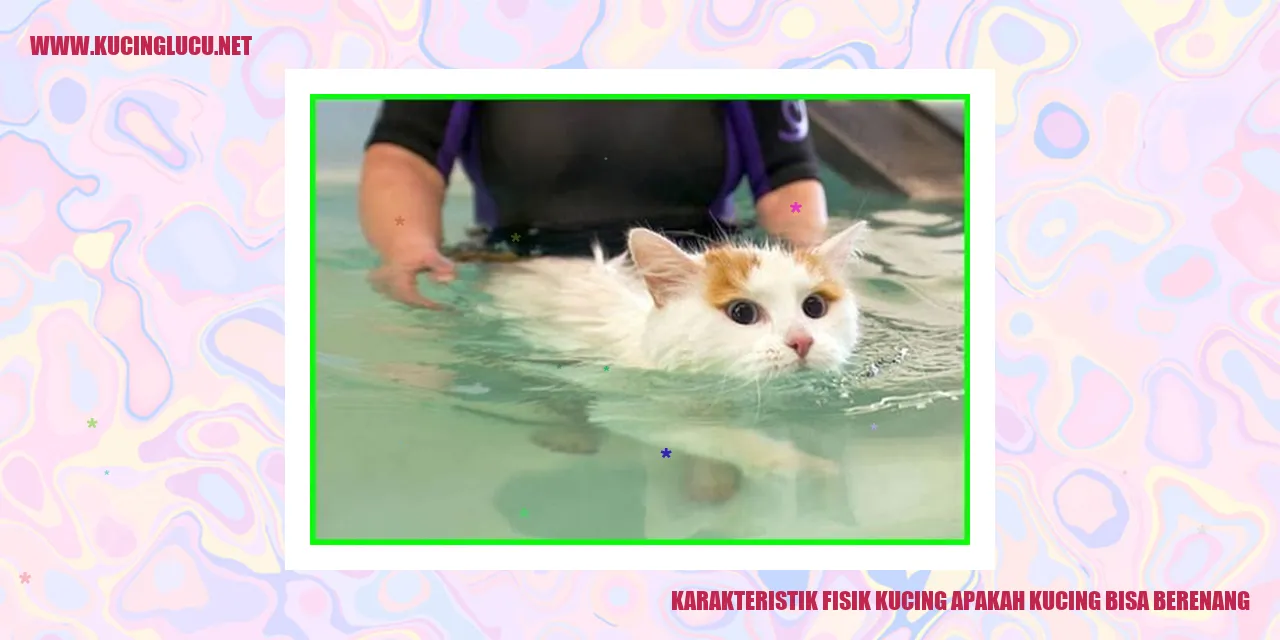 Gambar Kucing yang Mengambang di Air
