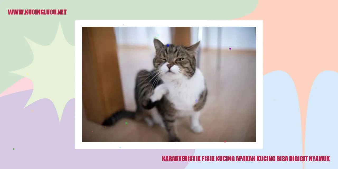 Kucing dan Nyamuk