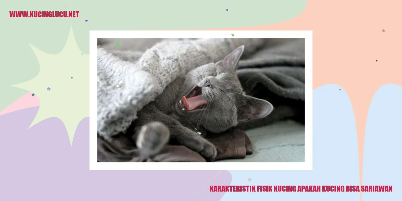 Karakteristik Fisik Kucing