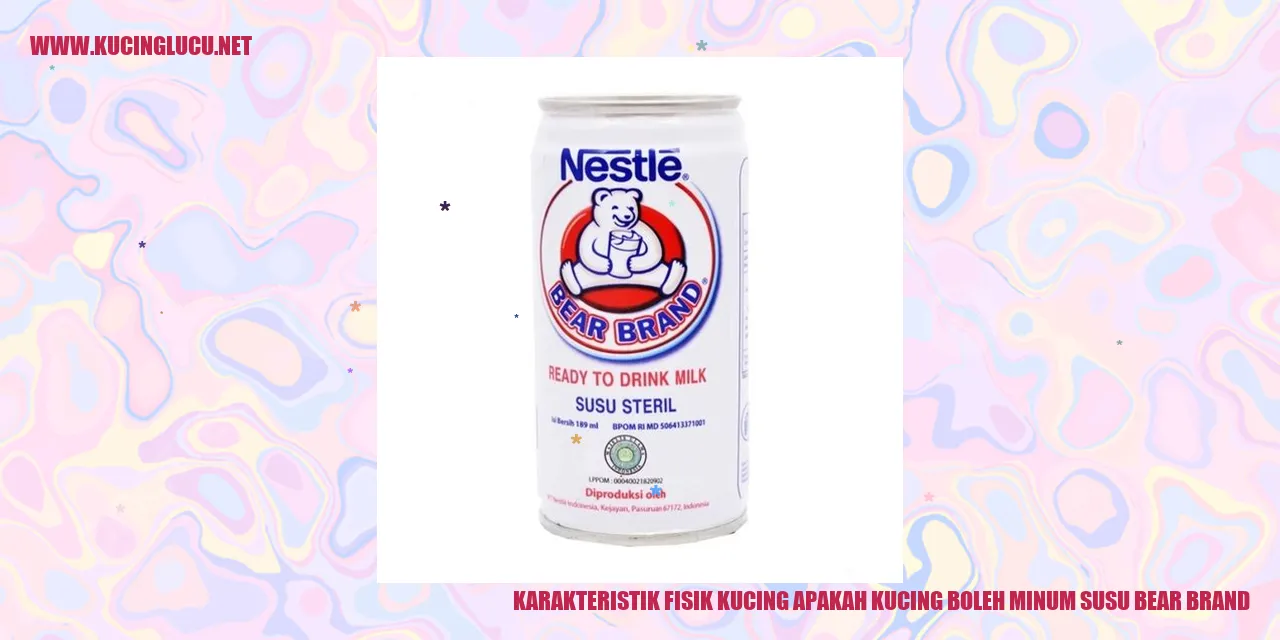 Gambar Karakteristik Fisik Kucing