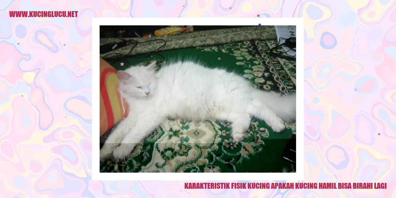 Karakteristik Fisik Kucing
