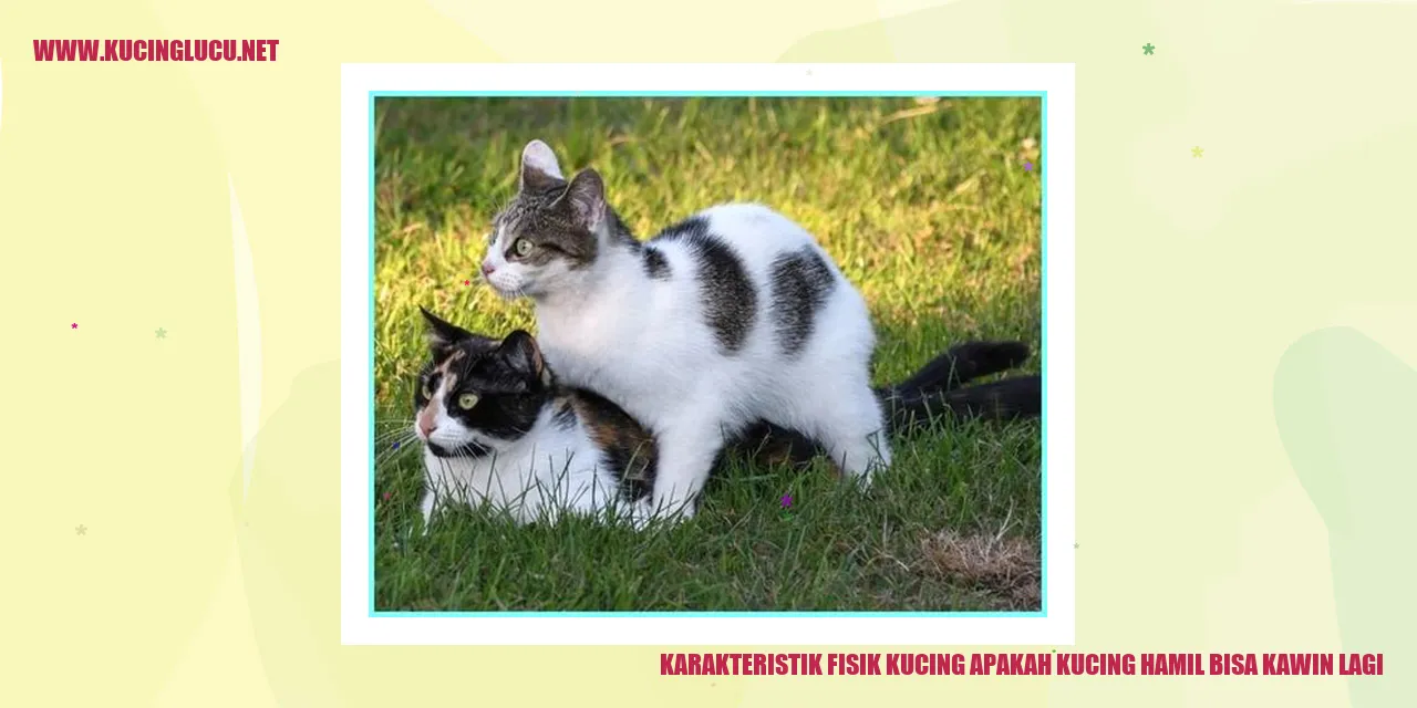 Karakteristik Fisik Kucing