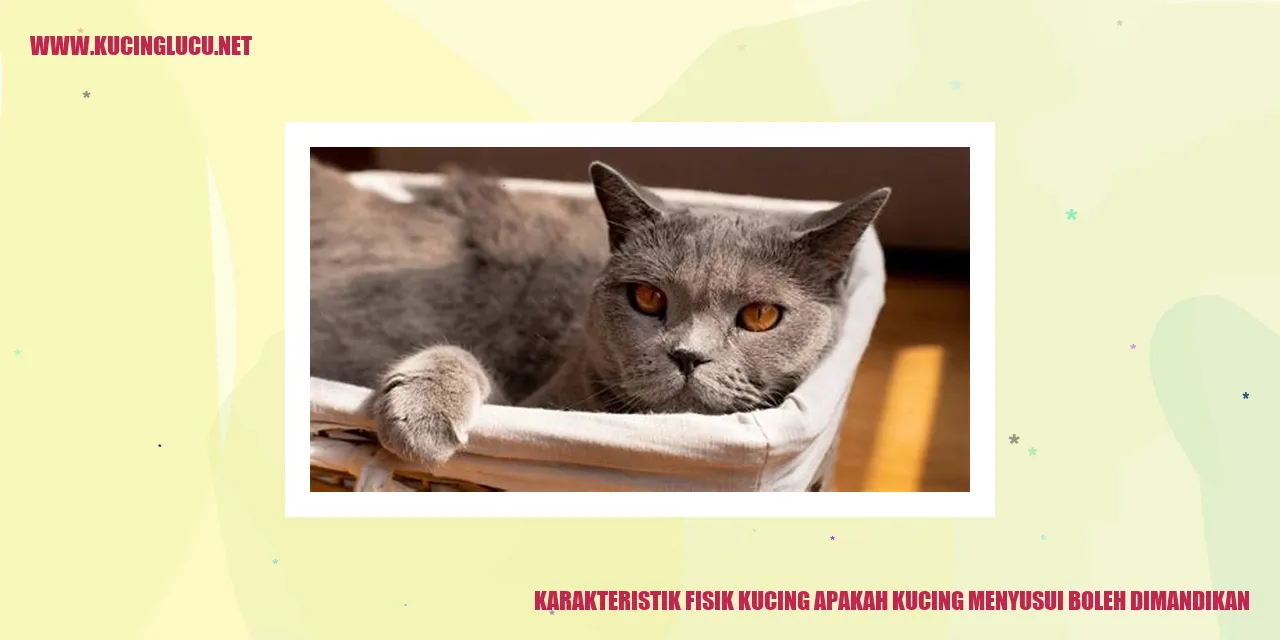 Karakteristik Fisik Kucing