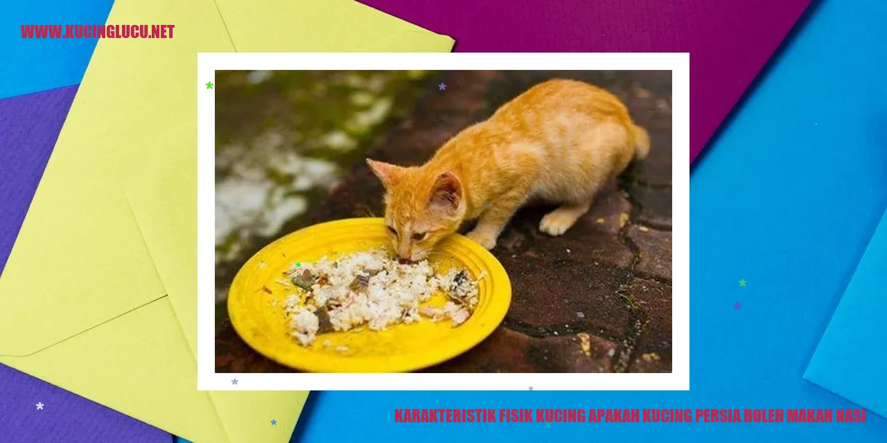 Kucing Persia