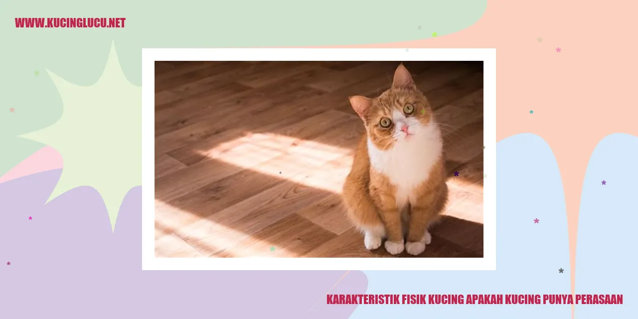 Karakteristik Fisik Kucing