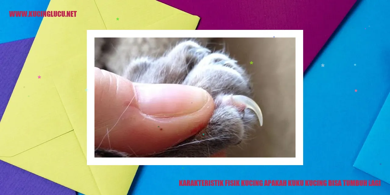 Karakteristik Fisik Kucing apakah kuku kucing bisa tumbuh lagi