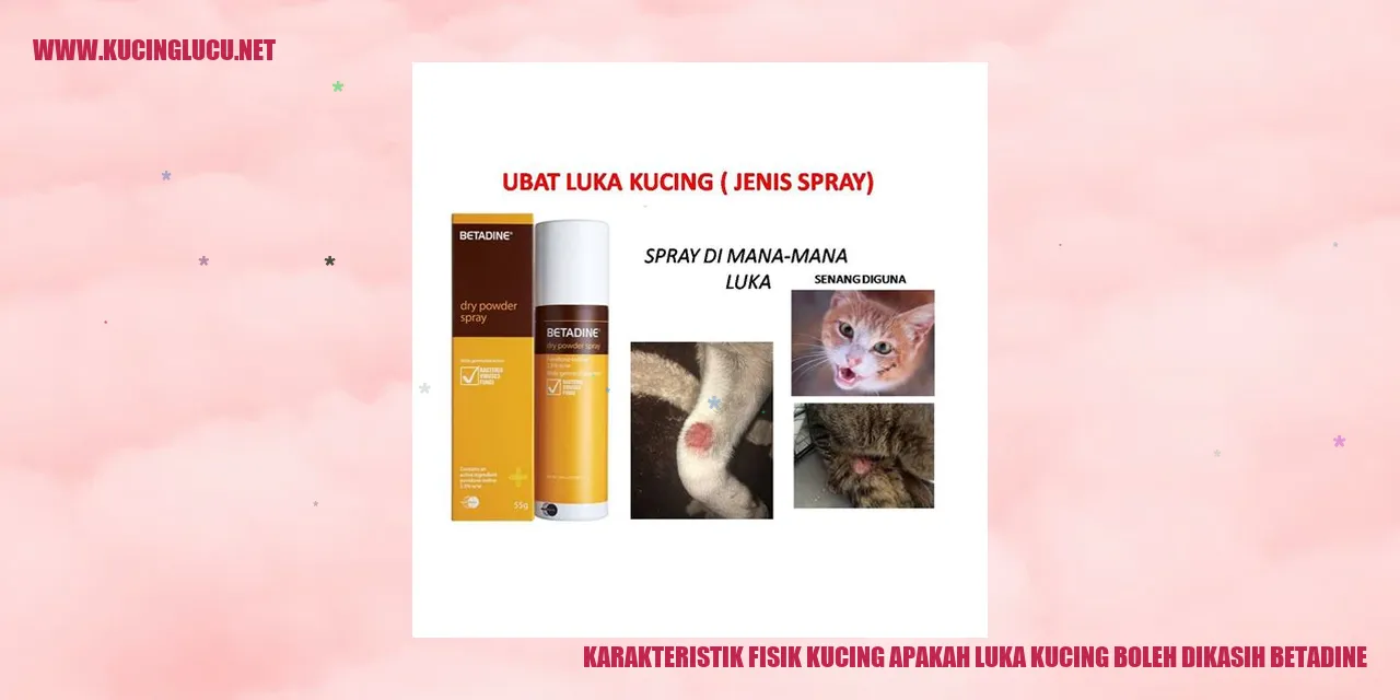 Karakteristik Fisik Kucing