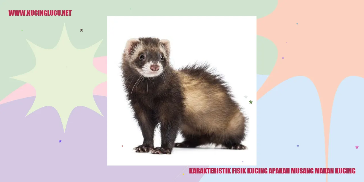 Karakteristik Fisik Kucing
