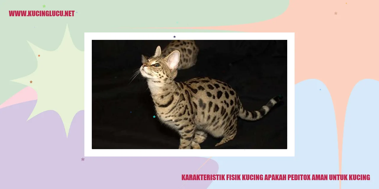 Karakteristik Fisik Kucing apakah peditox aman untuk kucing