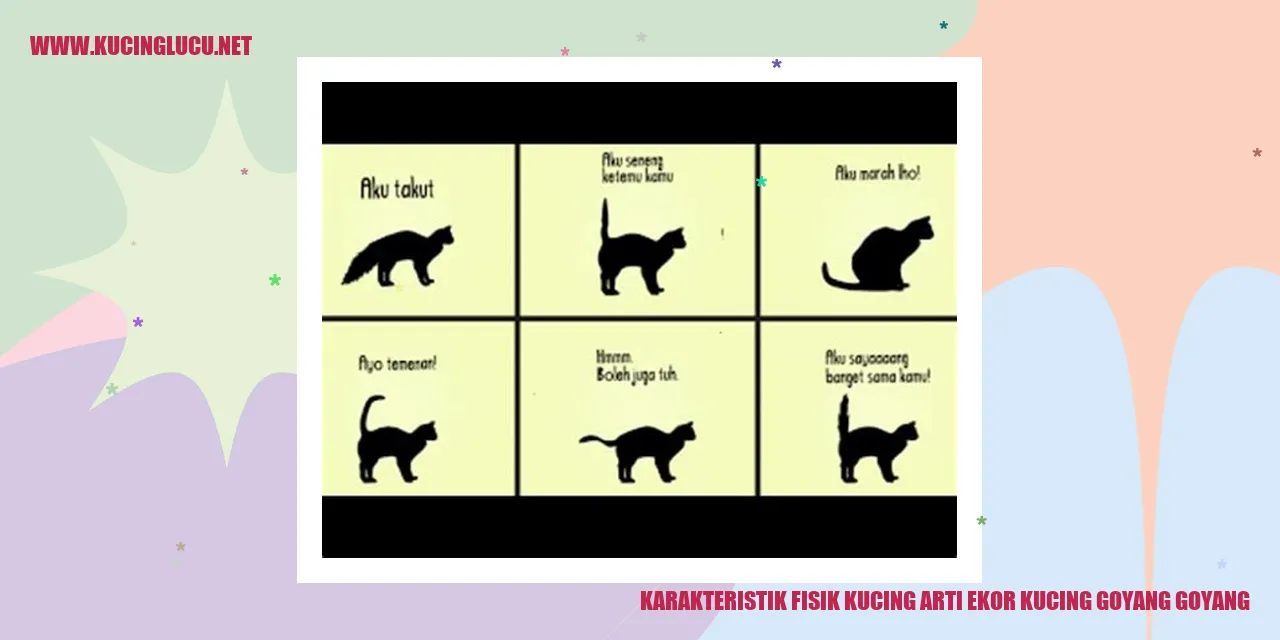 Karakteristik Fisik Kucing