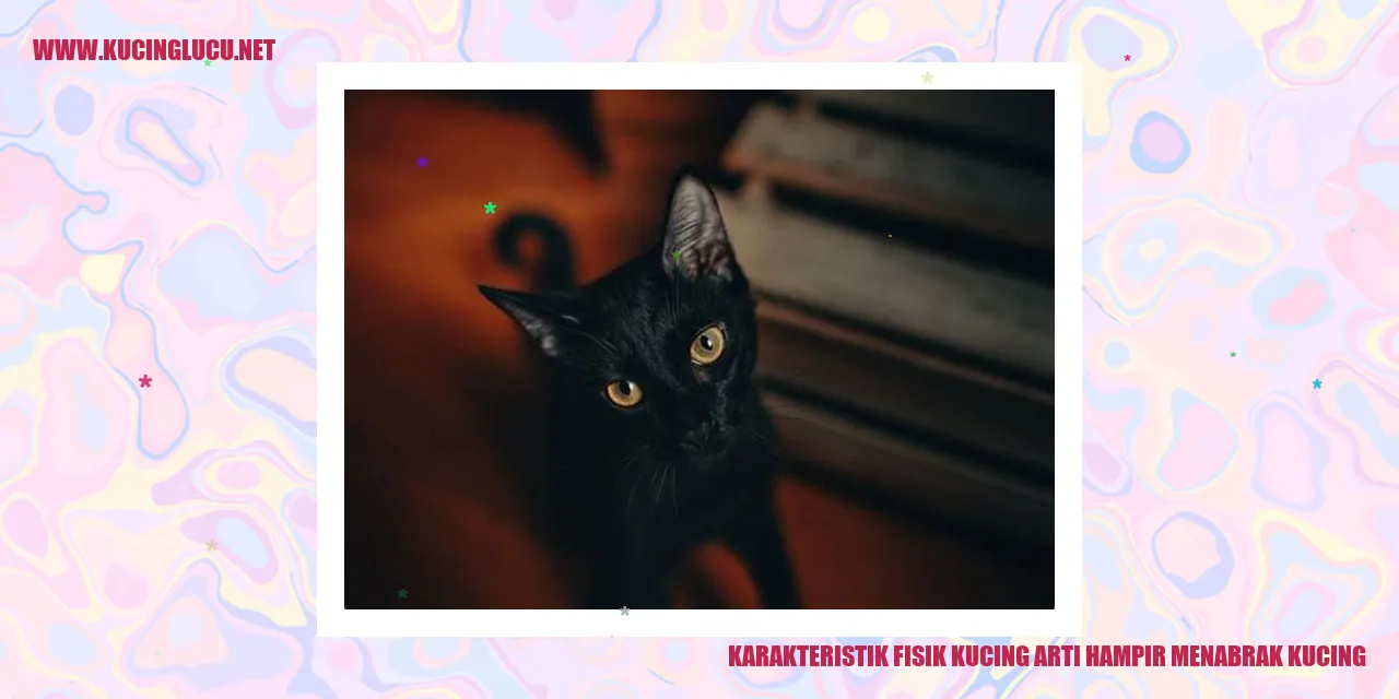 Karakteristik Fisik Kucing